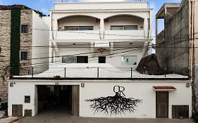 Quintana Roots Hostel